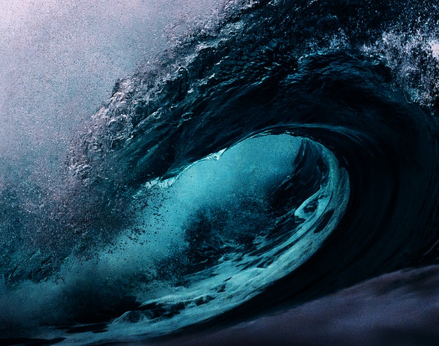 Did You Ever Think You’d Be Leading Your Team Or Your Family Through A Mental Health Tsunami?